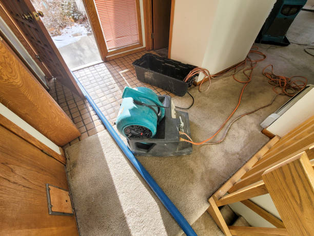 Best Water damage contractors near me  in Baldwin Park, CA